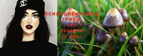 героин Алексин