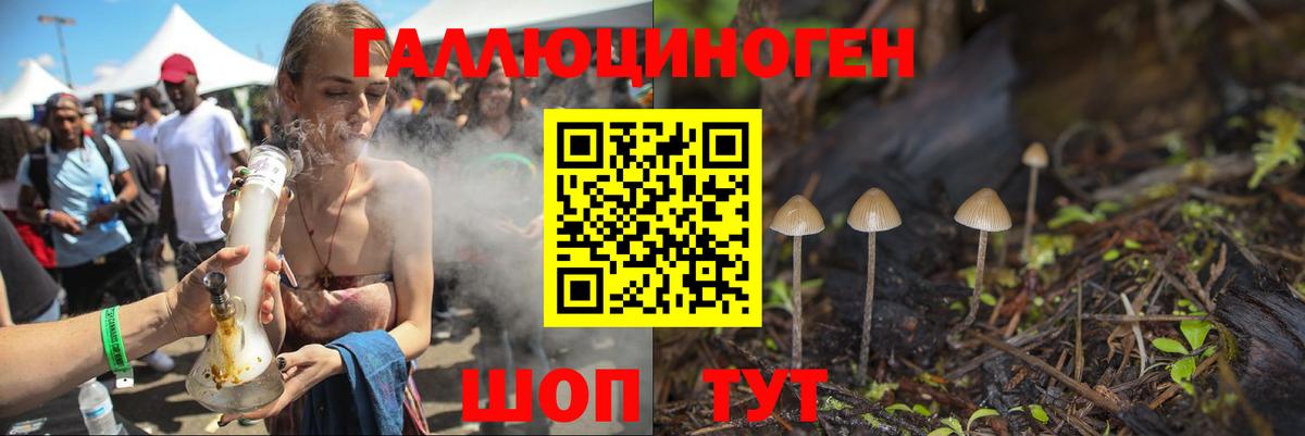 Джанкой  Псилоцибиновые грибы Psilocybine cubensis  Вход с VPN 